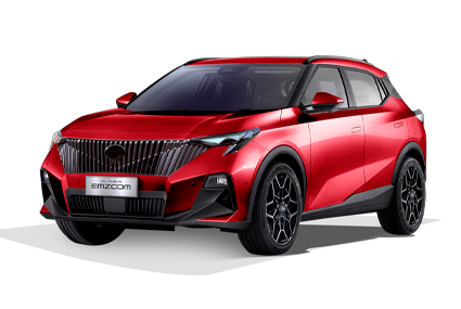 EMZOOM - GAC Vallejo in Ciudad de México CDMX